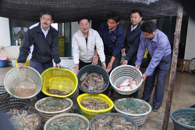 虾蟹绿色养殖的“中国方案”!黄海水产研究所一成果荣获省科技进步一等奖